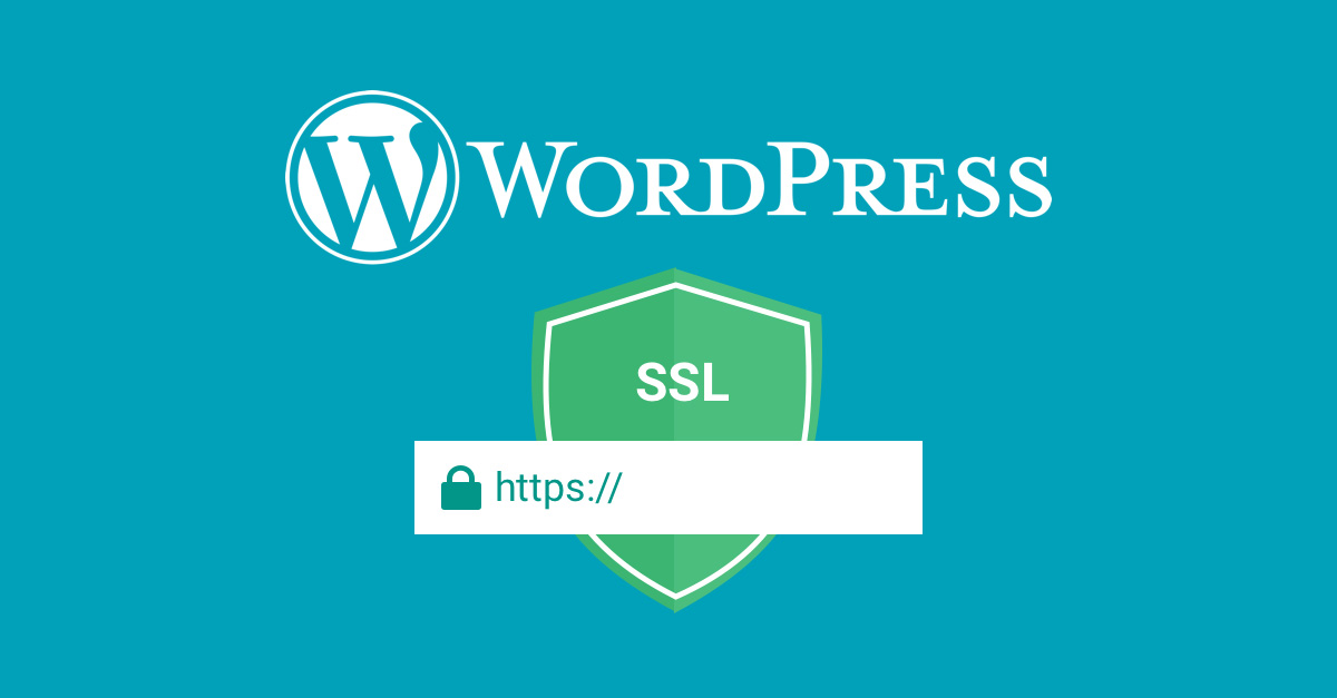 How to generate an SSL certificate for WordPress