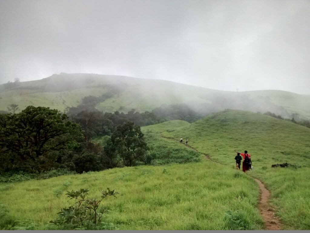 Kodachadri Trek